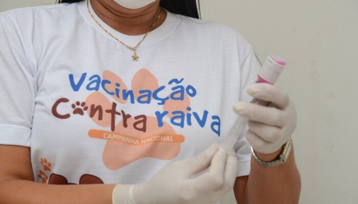 Prefeitura de Limoeiro realiza ‘Dia D’ de vacinação antirrábica no próximo final de semana