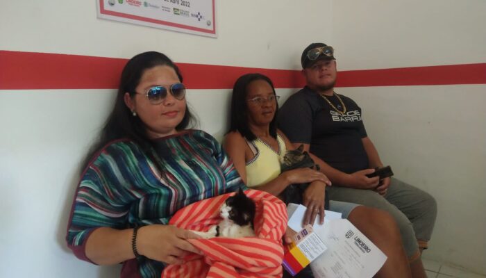 Centro de Controle de Zoonoses realiza castrações gratuitas de cães e gatos em Limoeiro