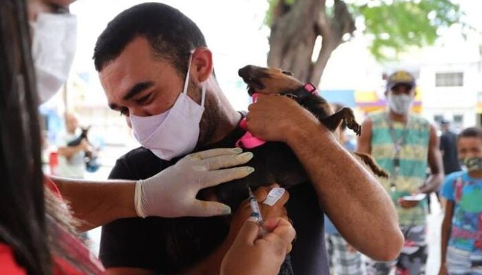 Prefeitura de Limoeiro promove Campanha de Vacinação Antirrábica